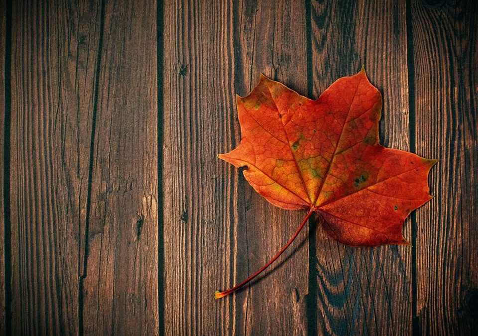 wooden planks with leaf