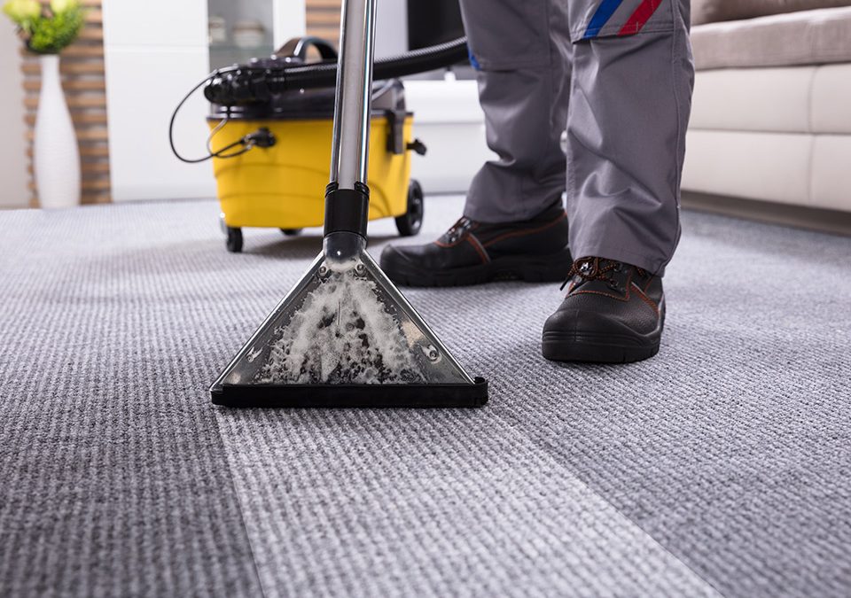 carpet cleaning