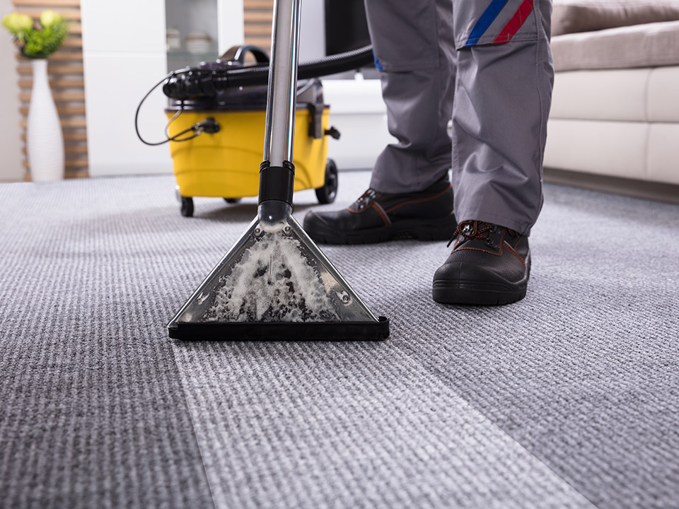 carpet cleaning